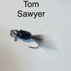 Tom Sawyer